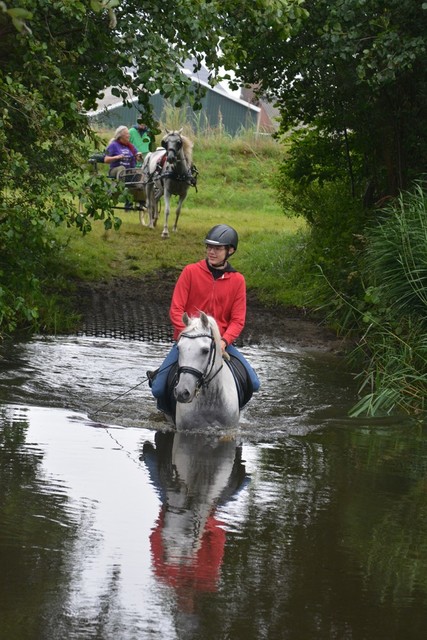 DSC 0725 Paardenvierdaagse Barchem