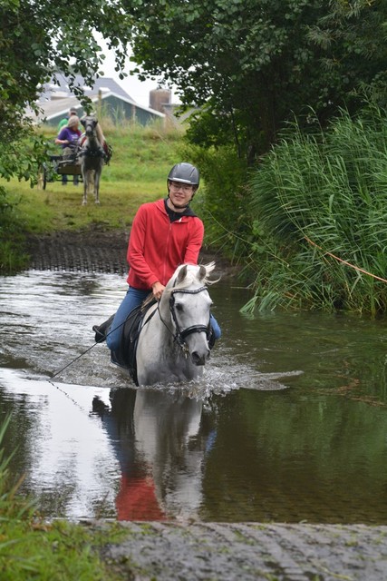 DSC 0729 Paardenvierdaagse Barchem