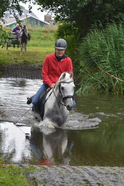 DSC 0731 Paardenvierdaagse Barchem