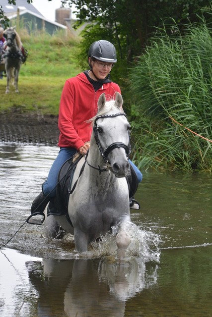 DSC 0732 Paardenvierdaagse Barchem