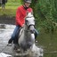 DSC 0732 - Paardenvierdaagse Barchem