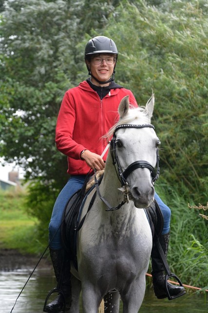 DSC 0735 Paardenvierdaagse Barchem