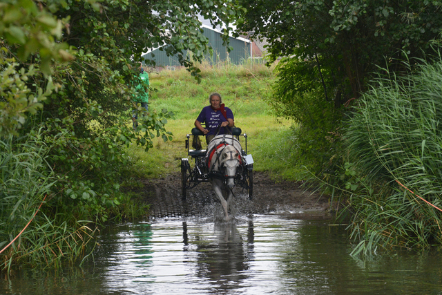 DSC 0736 Paardenvierdaagse Barchem