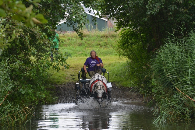 DSC 0737 Paardenvierdaagse Barchem