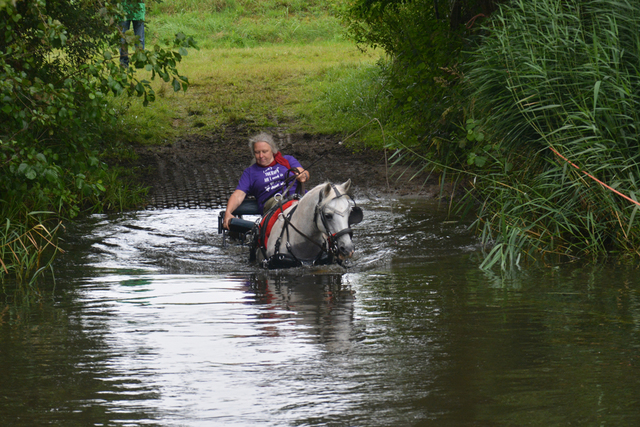 DSC 0740 Paardenvierdaagse Barchem