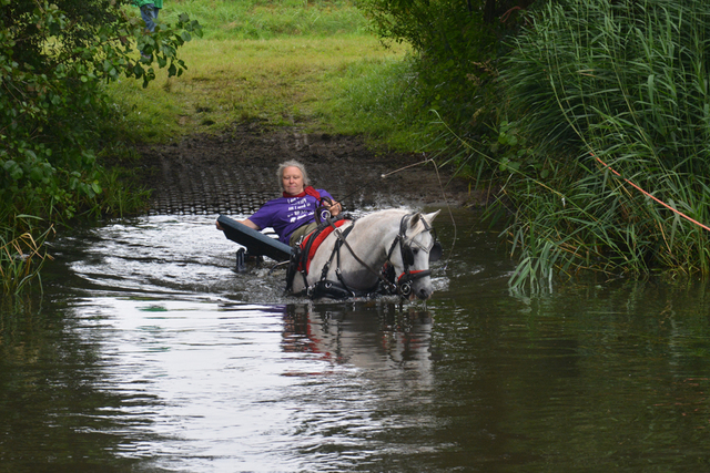 DSC 0742 Paardenvierdaagse Barchem