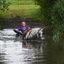 DSC 0742 - Paardenvierdaagse Barchem