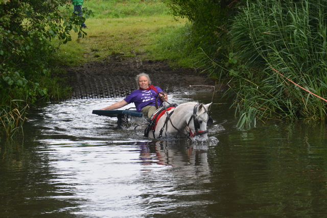 DSC 0744 Paardenvierdaagse Barchem