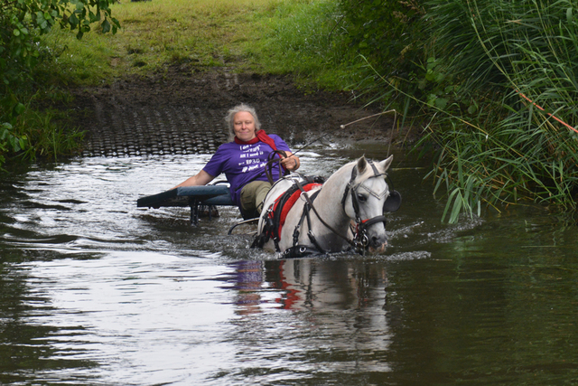 DSC 0745 Paardenvierdaagse Barchem