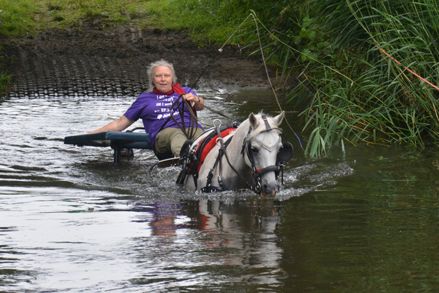 DSC 0747 Paardenvierdaagse Barchem