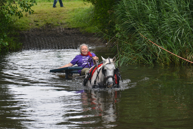 DSC 0750 Paardenvierdaagse Barchem