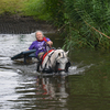 DSC 0754 - Paardenvierdaagse Barchem