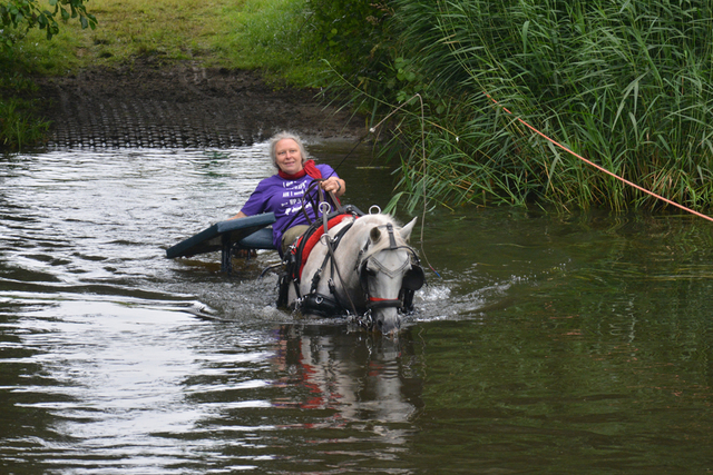 DSC 0754 Paardenvierdaagse Barchem