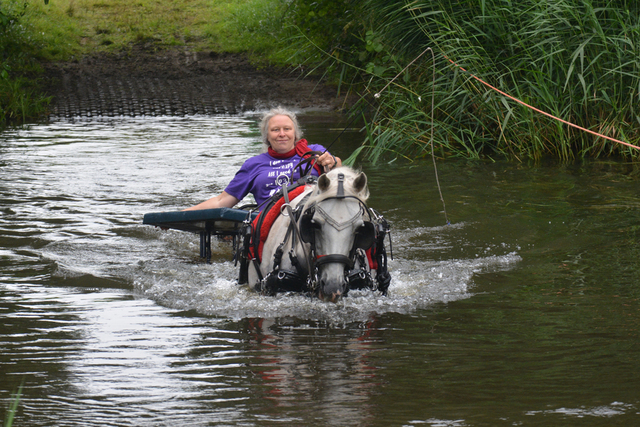 DSC 0757 Paardenvierdaagse Barchem