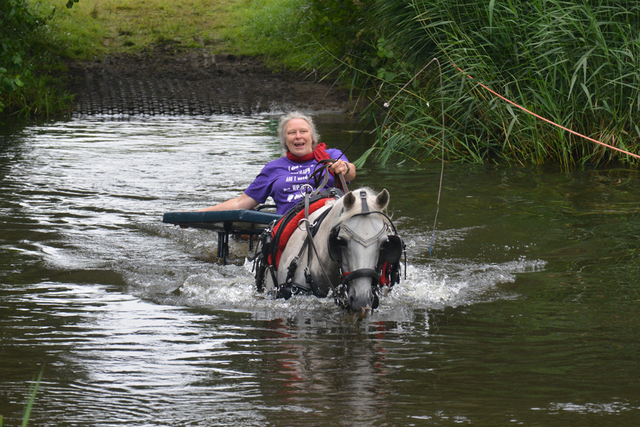 DSC 0758 Paardenvierdaagse Barchem