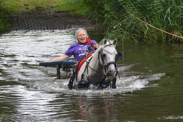 DSC 0759 Paardenvierdaagse Barchem