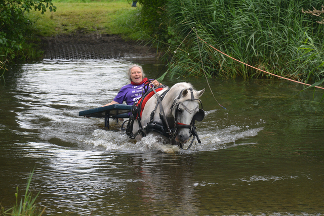 DSC 0760 Paardenvierdaagse Barchem