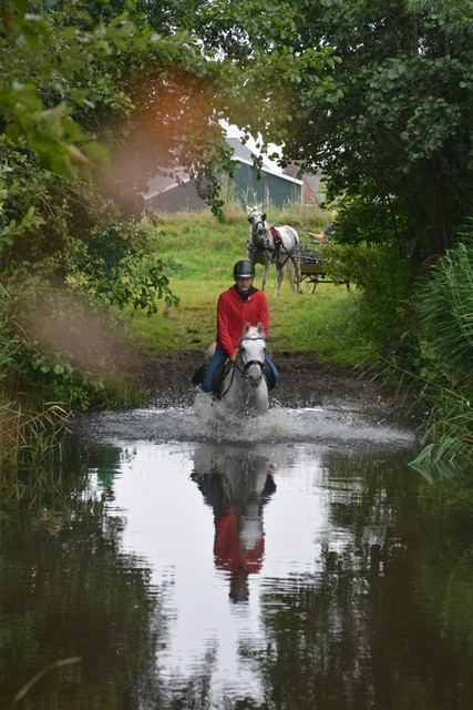 DSC 0764 Paardenvierdaagse Barchem