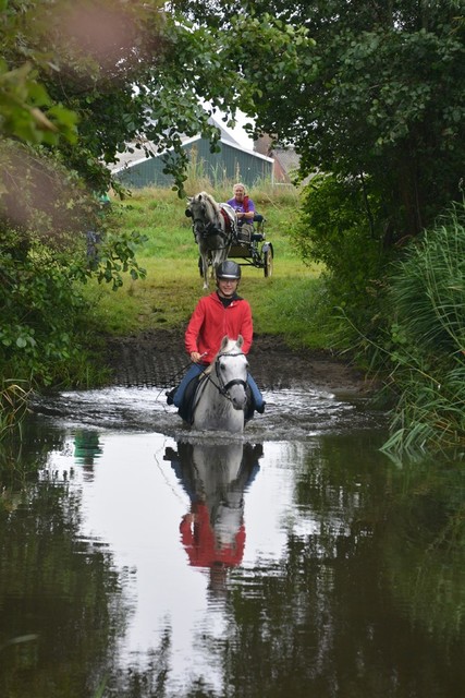 DSC 0765 Paardenvierdaagse Barchem