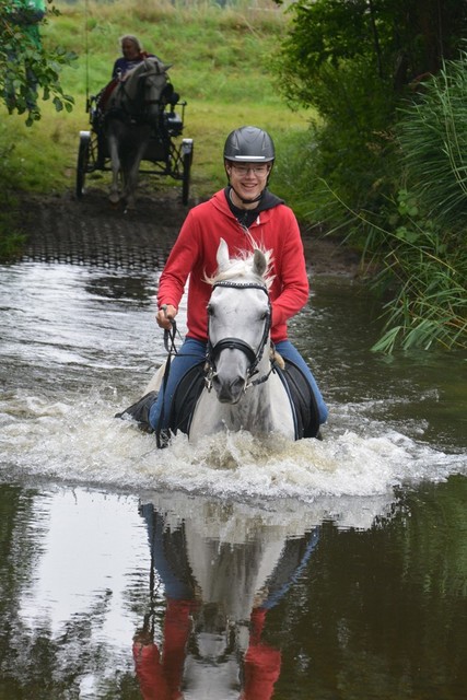 DSC 0770 Paardenvierdaagse Barchem