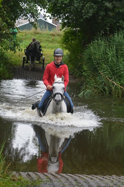 DSC 0771 Paardenvierdaagse Barchem