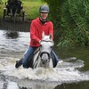 DSC 0773 - Paardenvierdaagse Barchem