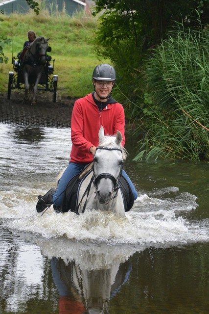 DSC 0773 Paardenvierdaagse Barchem