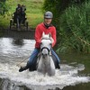 DSC 0774 - Paardenvierdaagse Barchem