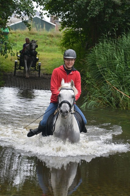 DSC 0774 Paardenvierdaagse Barchem