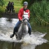 DSC 0776 - Paardenvierdaagse Barchem