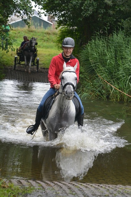 DSC 0776 Paardenvierdaagse Barchem