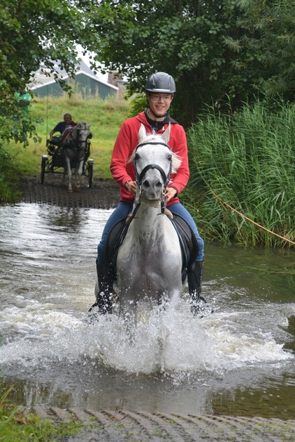 DSC 0779 Paardenvierdaagse Barchem