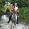 DSC 0781 - Paardenvierdaagse Barchem