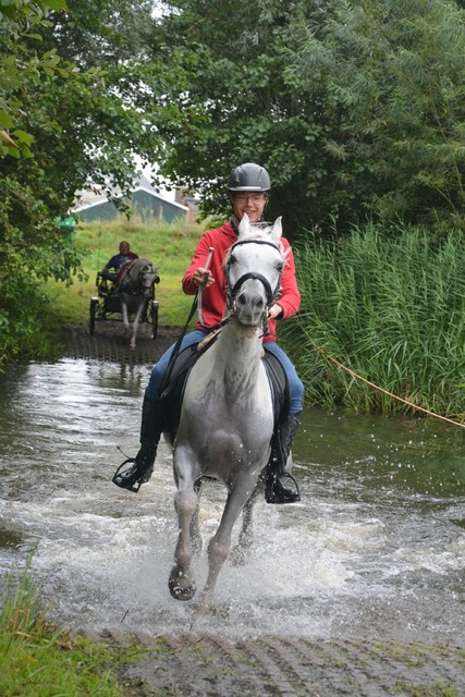 DSC 0781 Paardenvierdaagse Barchem