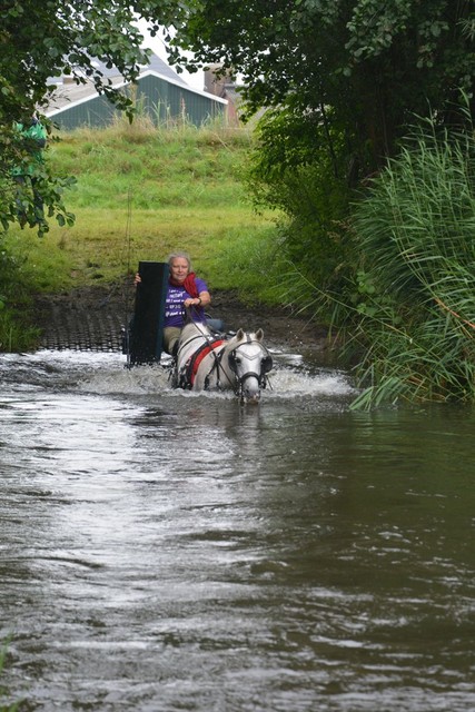 DSC 0784 Paardenvierdaagse Barchem