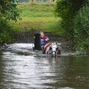 DSC 0786 - Paardenvierdaagse Barchem