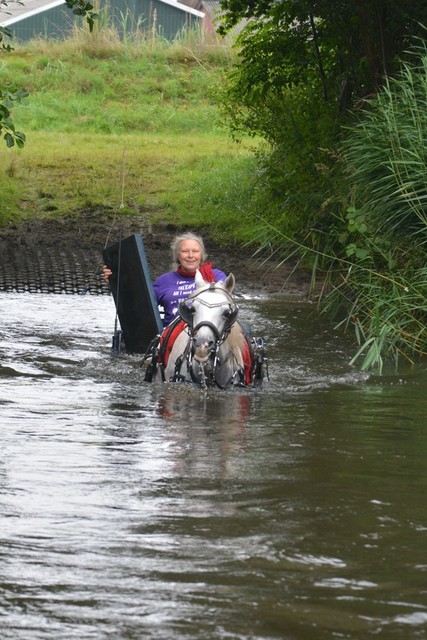 DSC 0787 Paardenvierdaagse Barchem