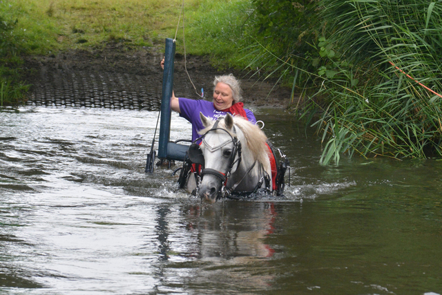 DSC 0788 Paardenvierdaagse Barchem