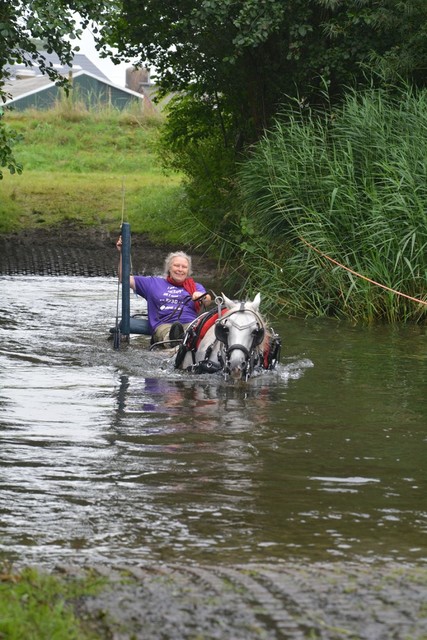 DSC 0789 Paardenvierdaagse Barchem