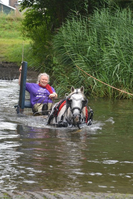 DSC 0790 Paardenvierdaagse Barchem