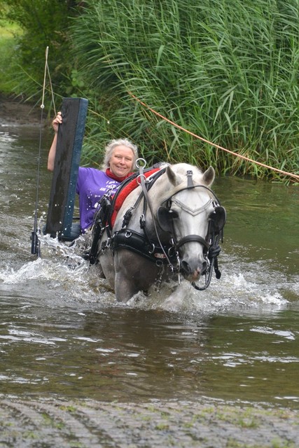 DSC 0792 Paardenvierdaagse Barchem