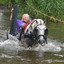 DSC 0792 - Paardenvierdaagse Barchem