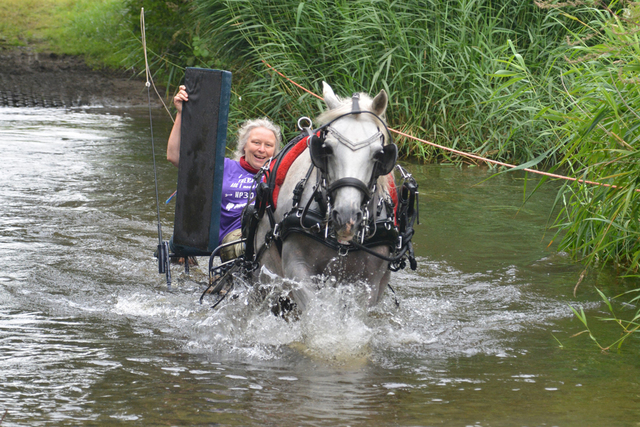 DSC 0793 Paardenvierdaagse Barchem