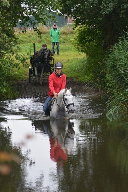 DSC 0800 Paardenvierdaagse Barchem