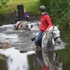 DSC 0804 - Paardenvierdaagse Barchem