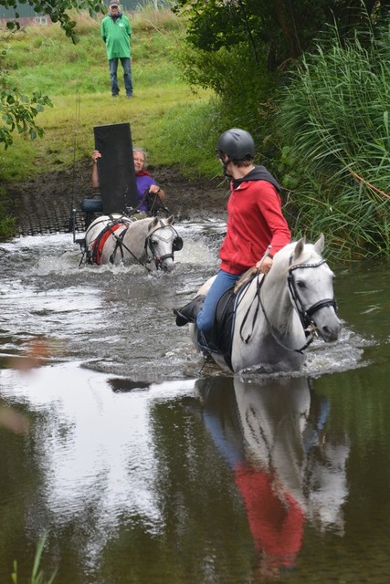 DSC 0804 Paardenvierdaagse Barchem