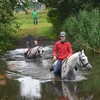 DSC 0806 - Paardenvierdaagse Barchem