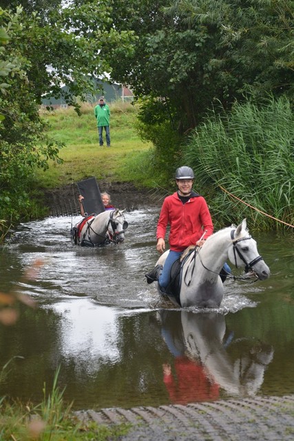 DSC 0806 Paardenvierdaagse Barchem