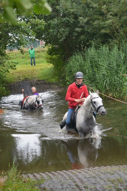 DSC 0808 Paardenvierdaagse Barchem