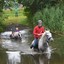 DSC 0808 - Paardenvierdaagse Barchem